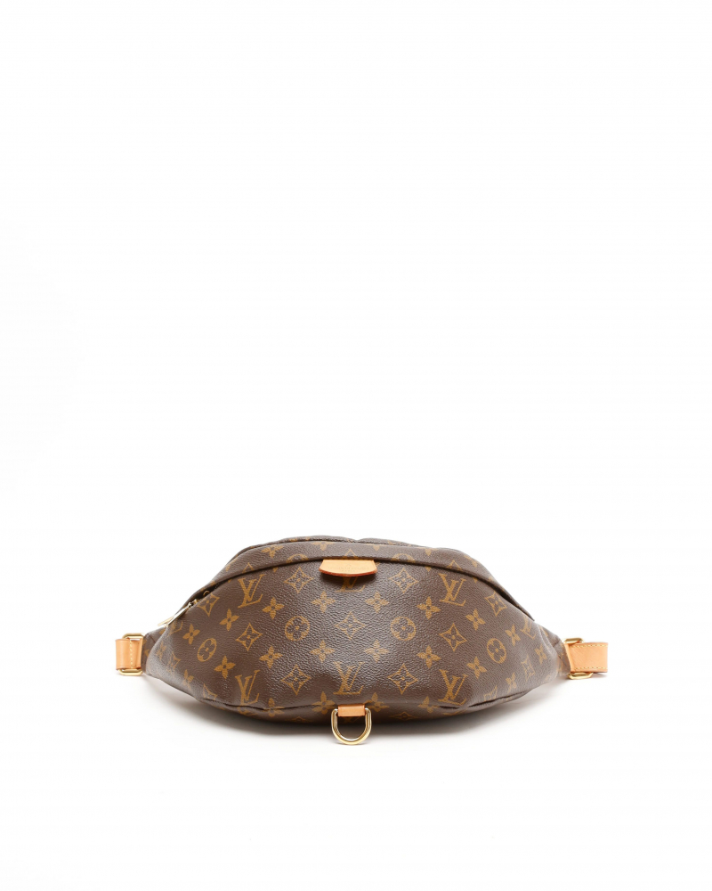 Louis Vuitton Monogram Bumbag