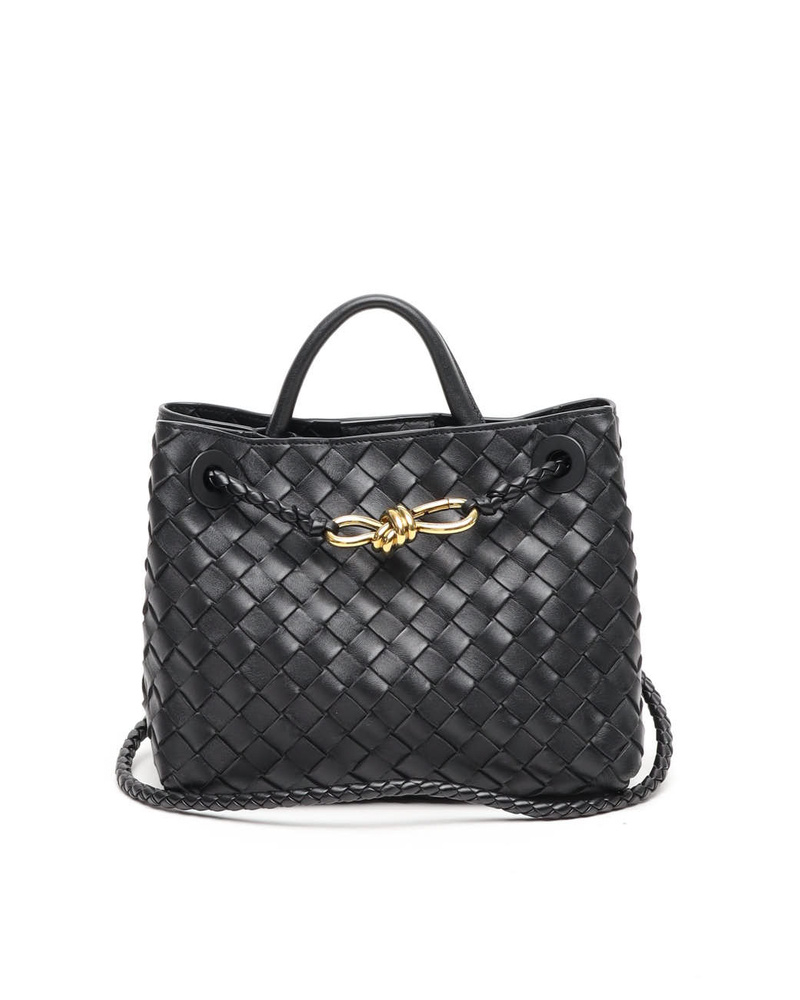 Bottega Veneta Intrecciato Small Andiamo Bag