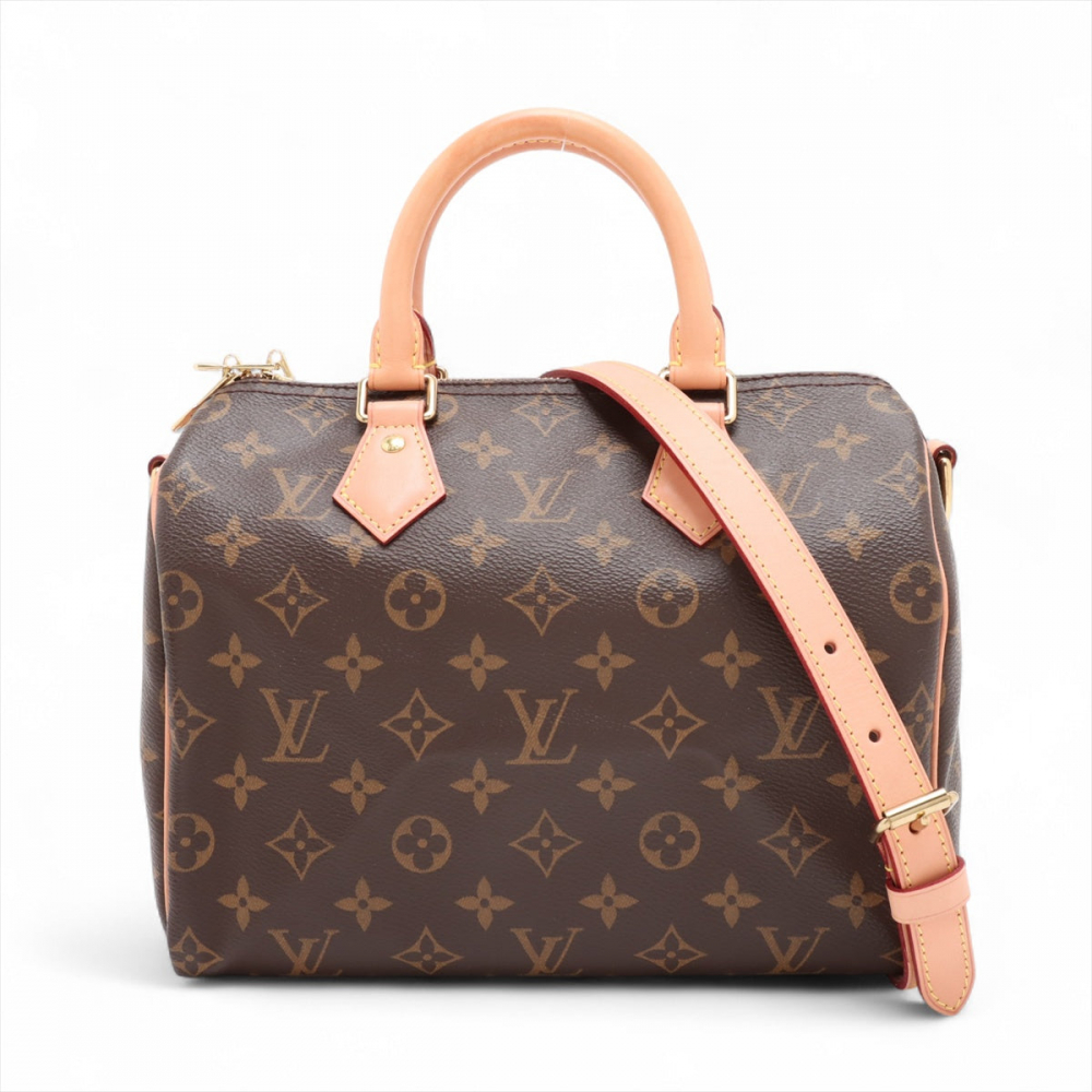Louis Vuitton Speedy 25 Canvas Bandoulière Trunk Handbag Monogram