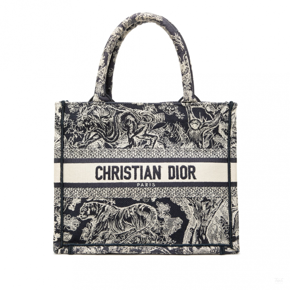 Christian Dior Book Tote Small Embroidery Canvas Tote Bag Dioriviera Toile De Jouy Blue