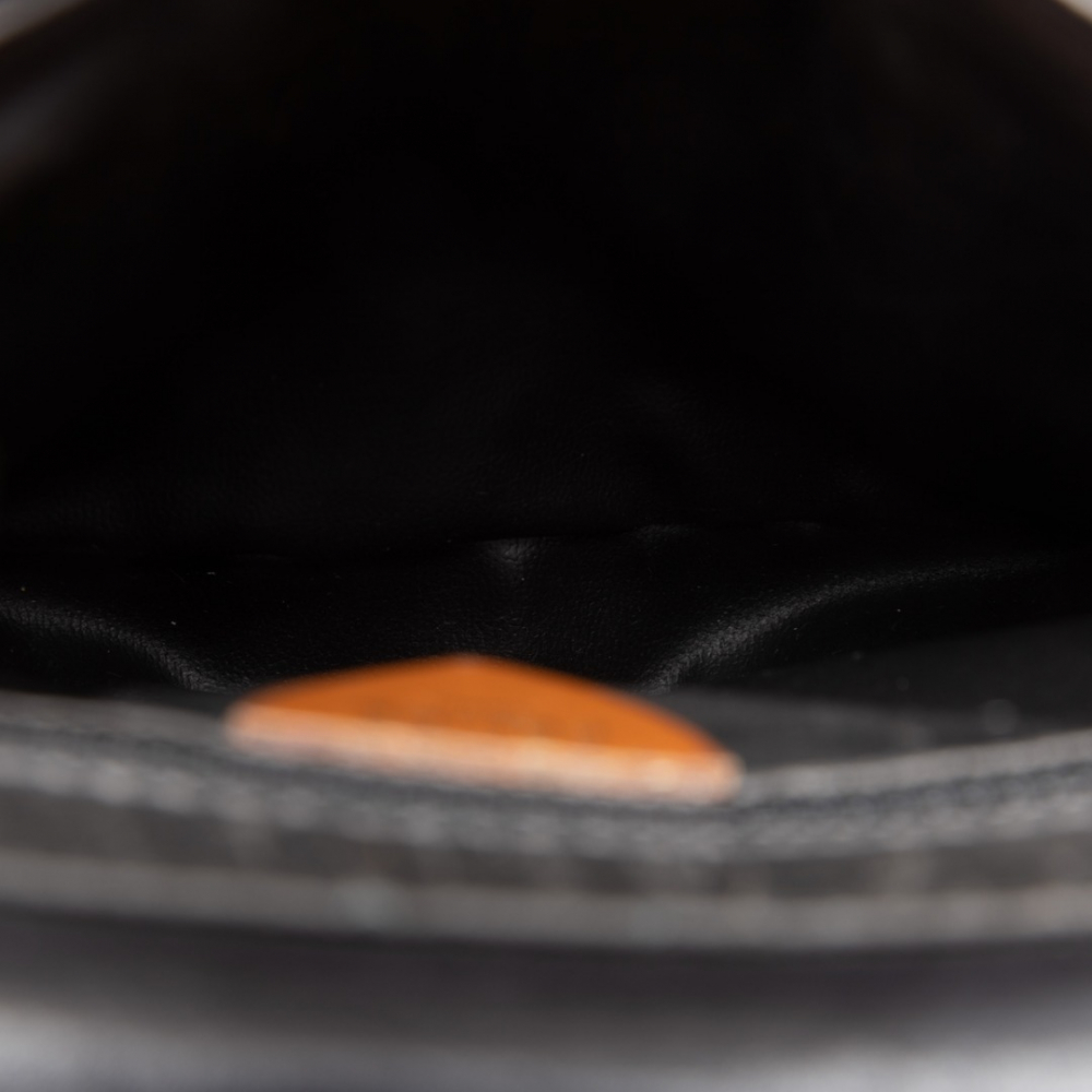 Celine Leather Triomphe Crossbody Bag