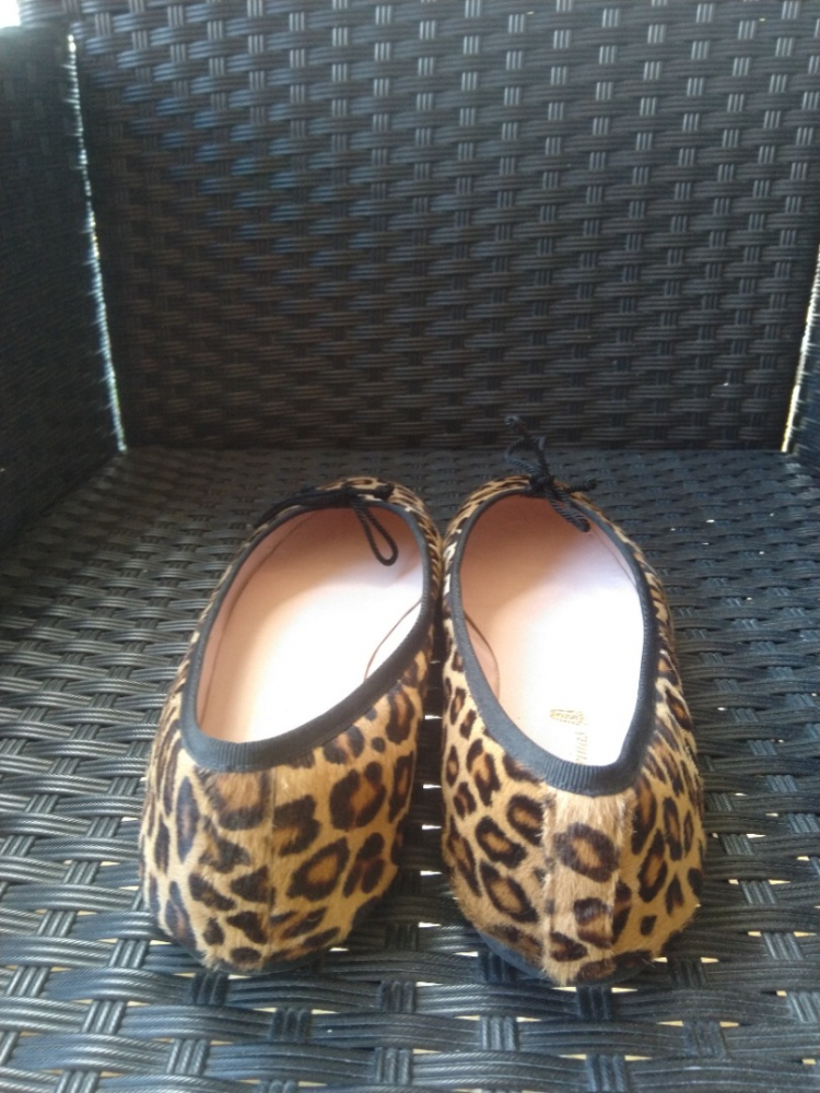 Pretty Ballerinas Ballerinas