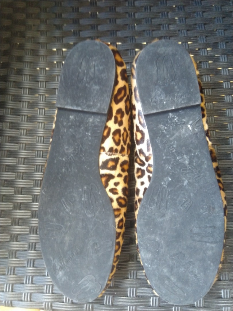 Pretty Ballerinas Ballerinas