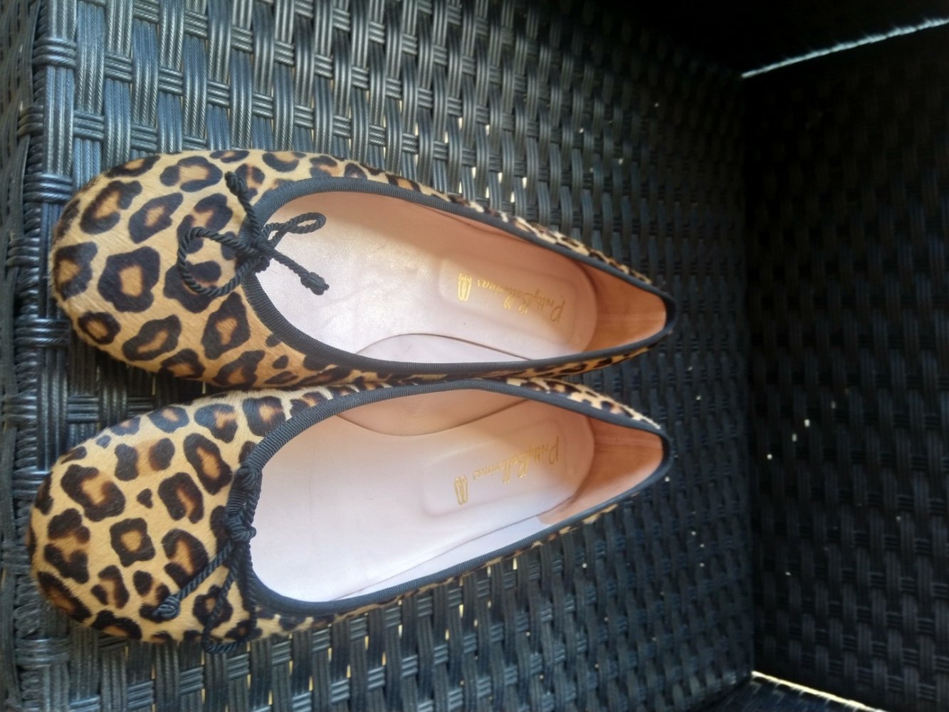 Pretty Ballerinas Ballerinas