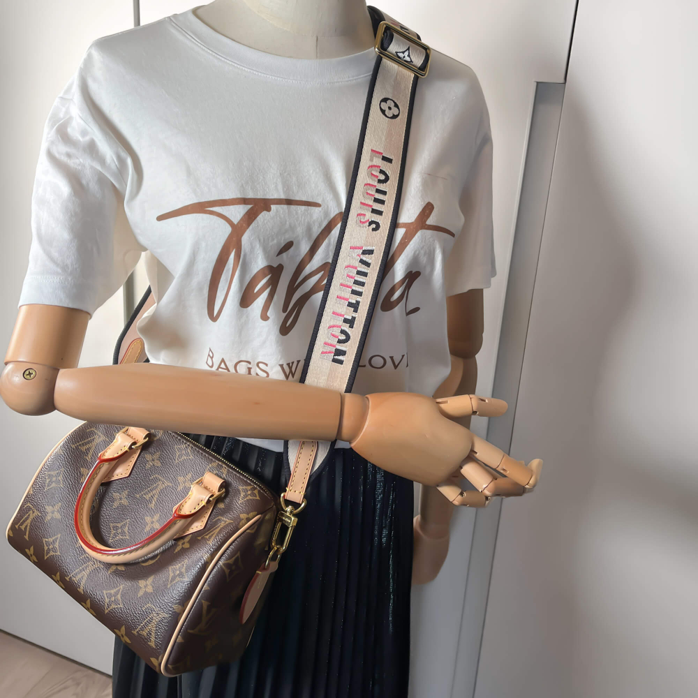 Louis Vuitton Speedy 20 Monogram