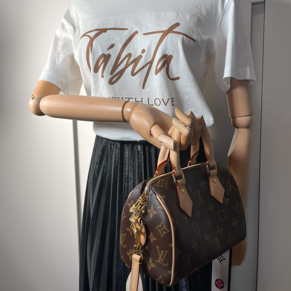 Louis Vuitton Speedy 20 Monogram