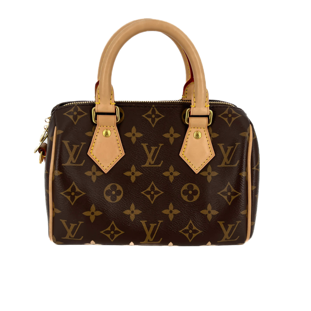 Louis Vuitton Speedy 20 Monogram