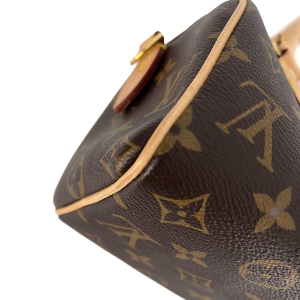 Louis Vuitton Speedy 20 Monogram