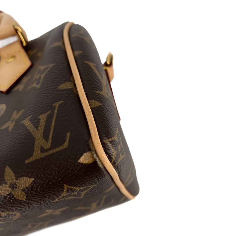 Louis Vuitton Speedy 20 Monogram