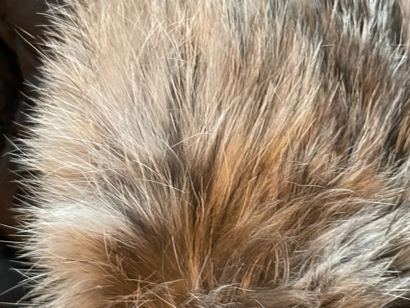 Saks Fifth Avenue Fantastique chapeau de trappeur en fourrure de lapin !