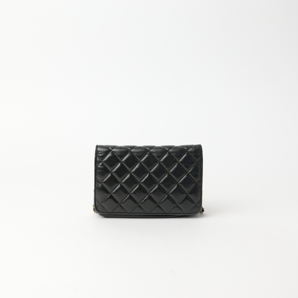 Chanel Wallet On Chain Bag