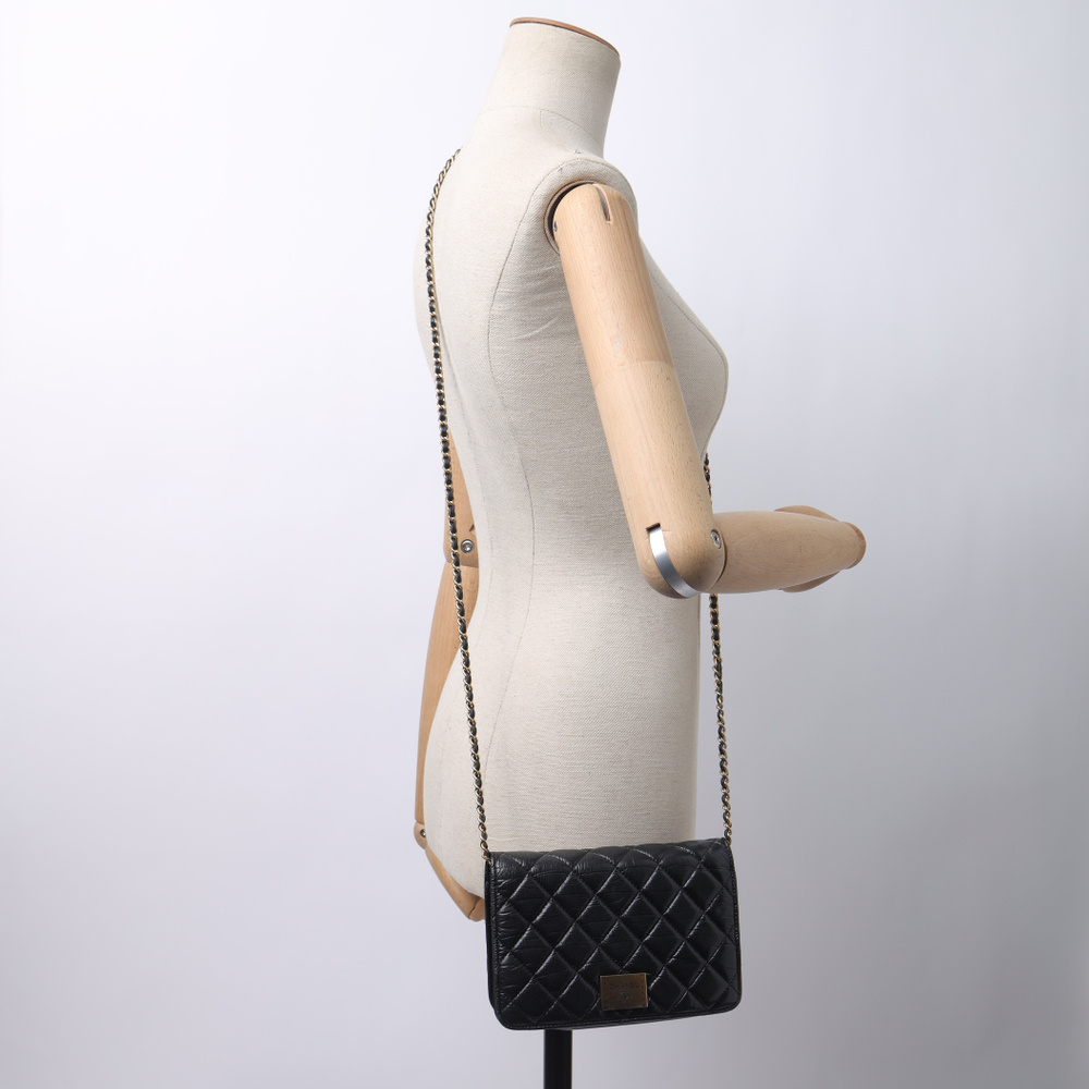 Chanel Wallet On Chain Bag