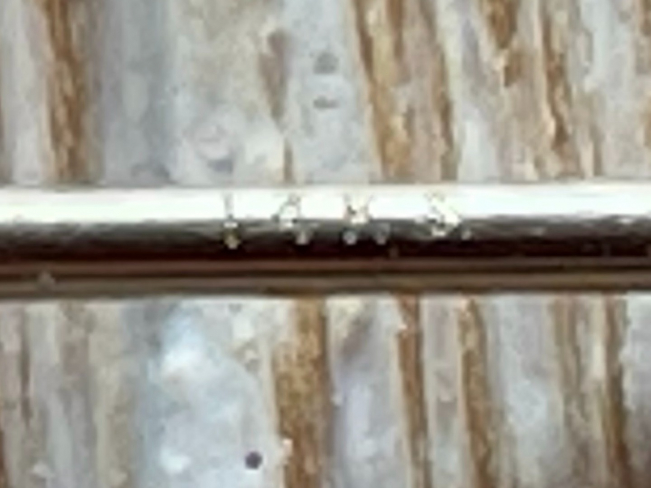 Saks Fifth Avenue Boucles d'oreilles or et perles en cascade