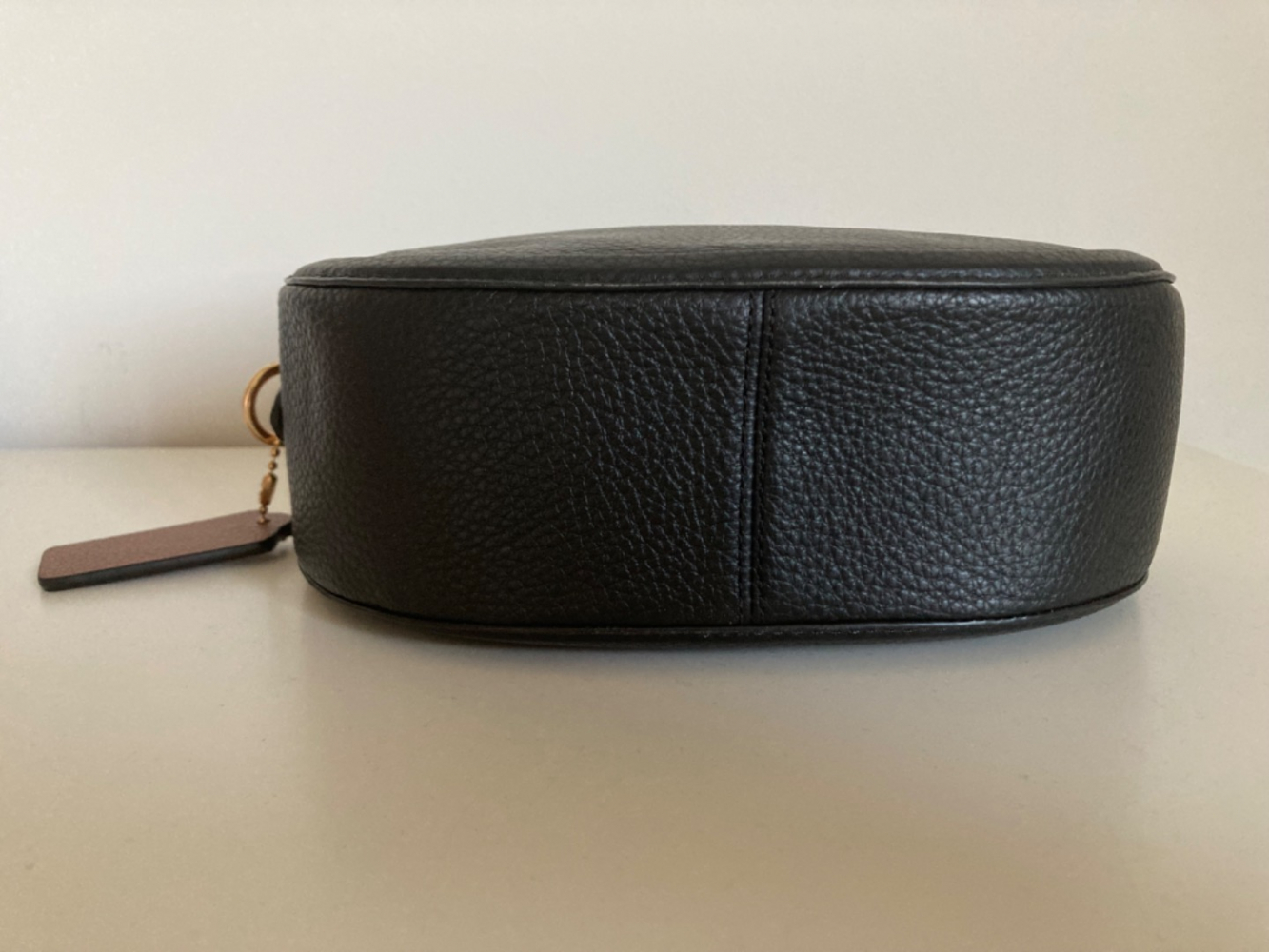 Coach Camera bag with horse and carriage