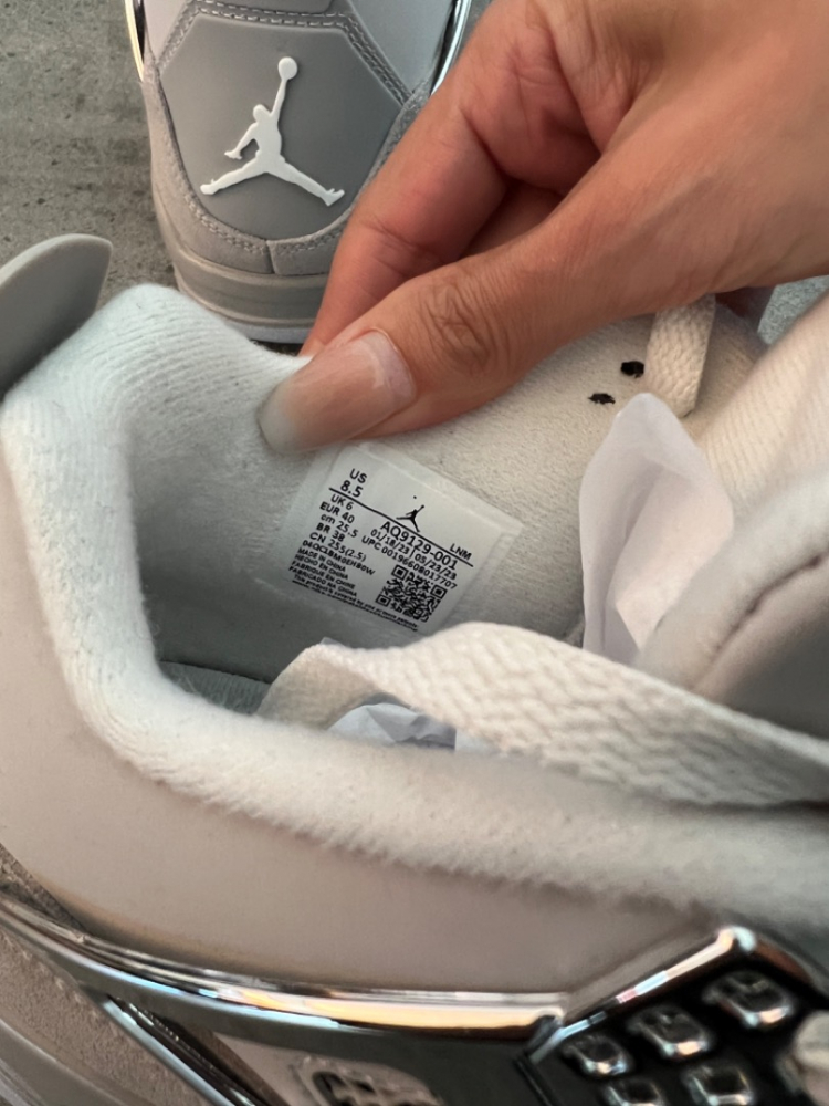 Air Jordan Nike Air Jordan 4 / Gefrorene Momente