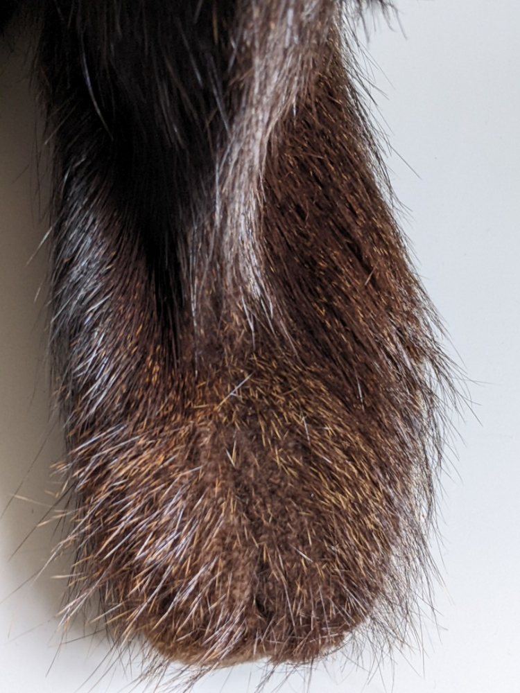 Gucci Mid-season leather/coyote fur boots