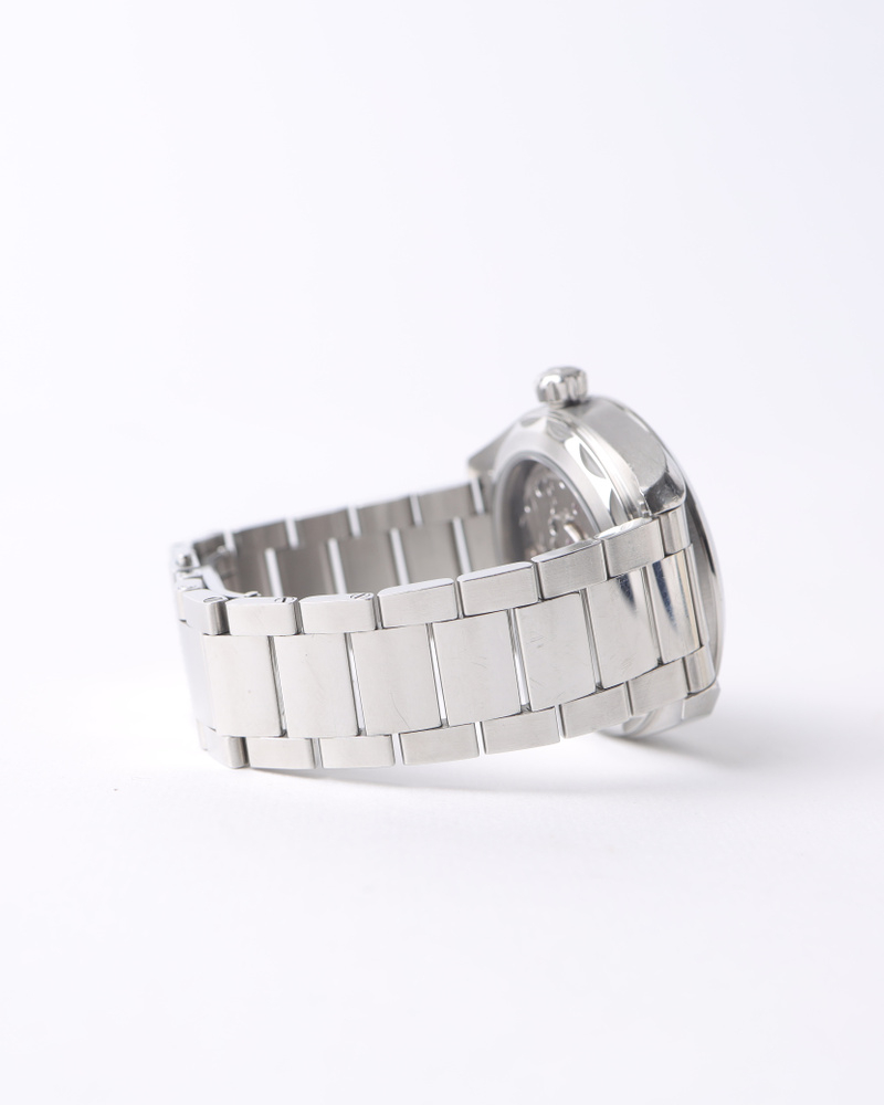 Omega Seamaster Aqua Terra 41mm Co-axial Chronometer Watch