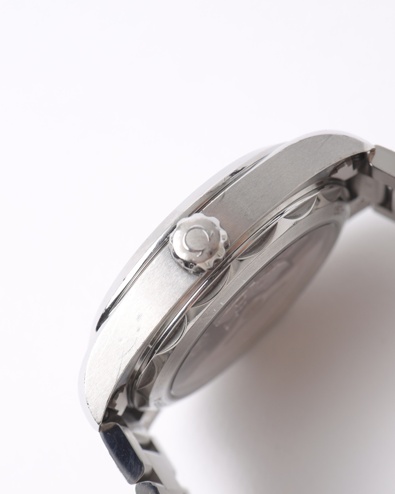 Omega Seamaster Aqua Terra 41mm Co-axial Chronometer Watch