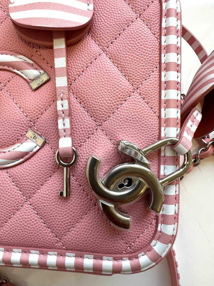 Chanel 2018 Filigree Vanity Bag Pink