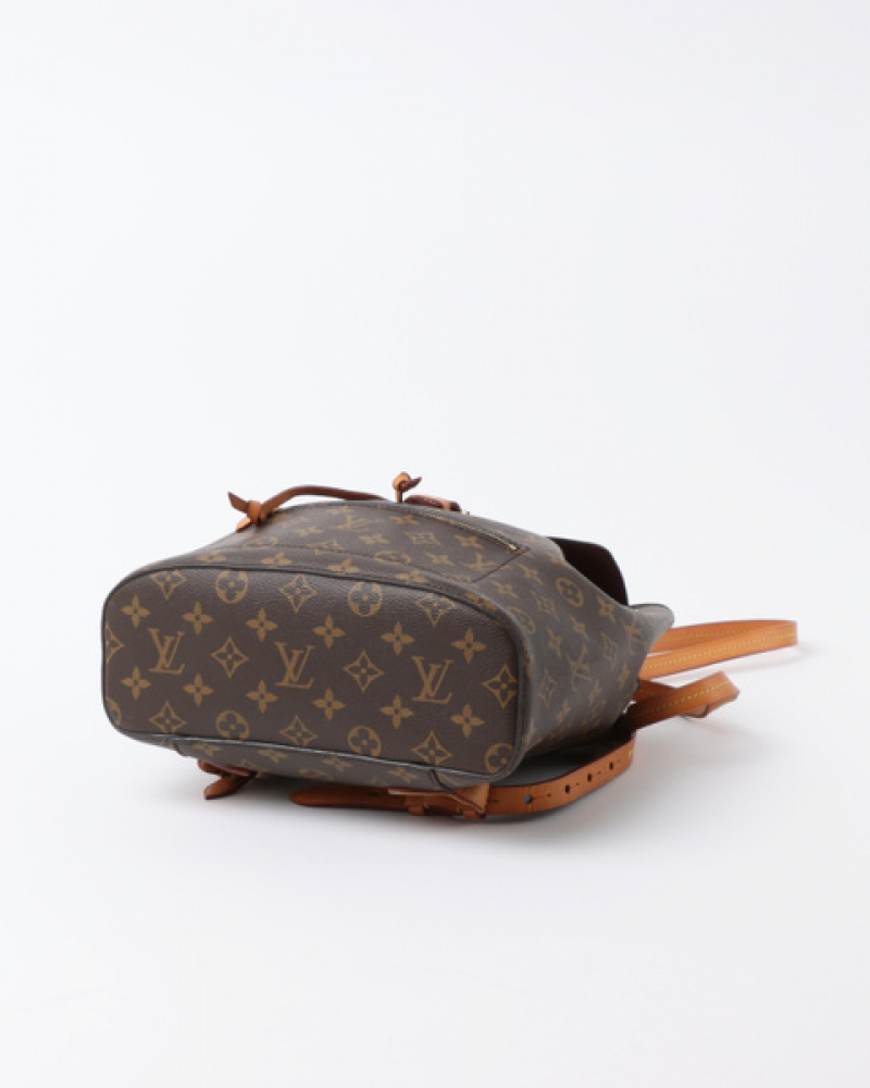 Louis Vuitton Monogram New Montsouris Mm Backpack