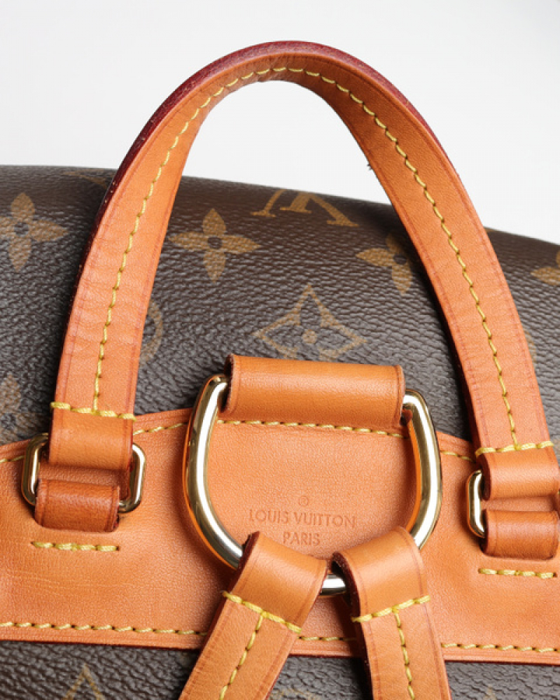 Louis Vuitton Monogram New Montsouris Mm Backpack
