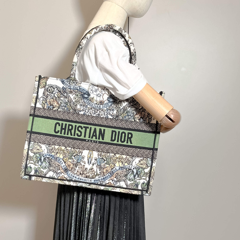 Christian Dior Book Tote Medium Embroidery Canvas Bag Butterfly Around The World Name Susie Green