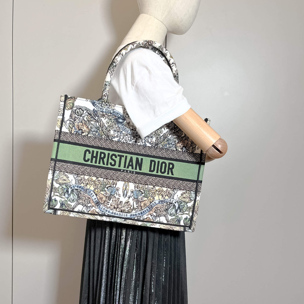 Christian Dior Book Tote Medium Embroidery Canvas Bag Butterfly Around The World Name Susie Green