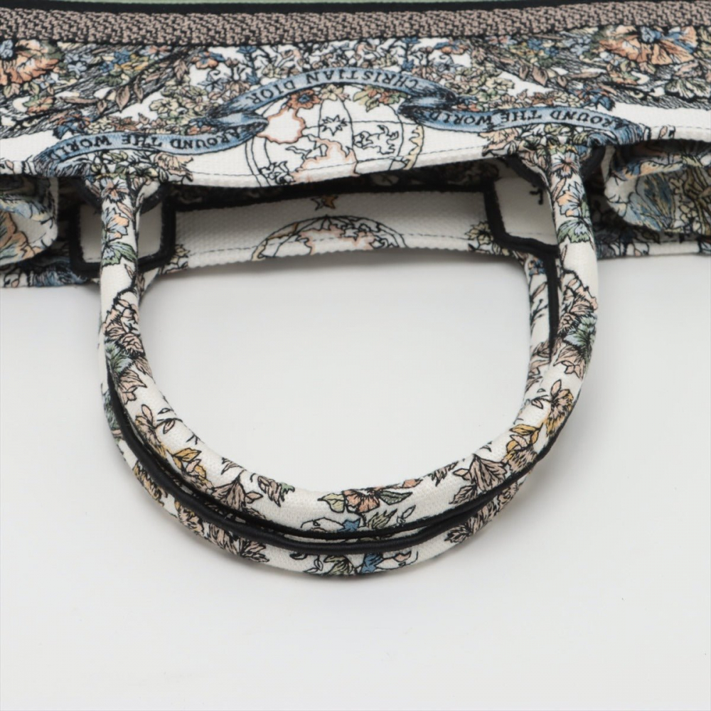 Christian Dior Book Tote Medium Embroidery Canvas Bag Butterfly Around The World Name Susie Green