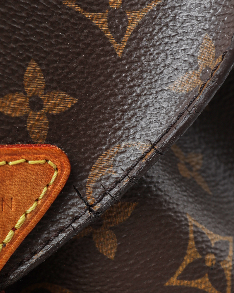 Louis Vuitton Monogram New Montsouris Mm Backpack