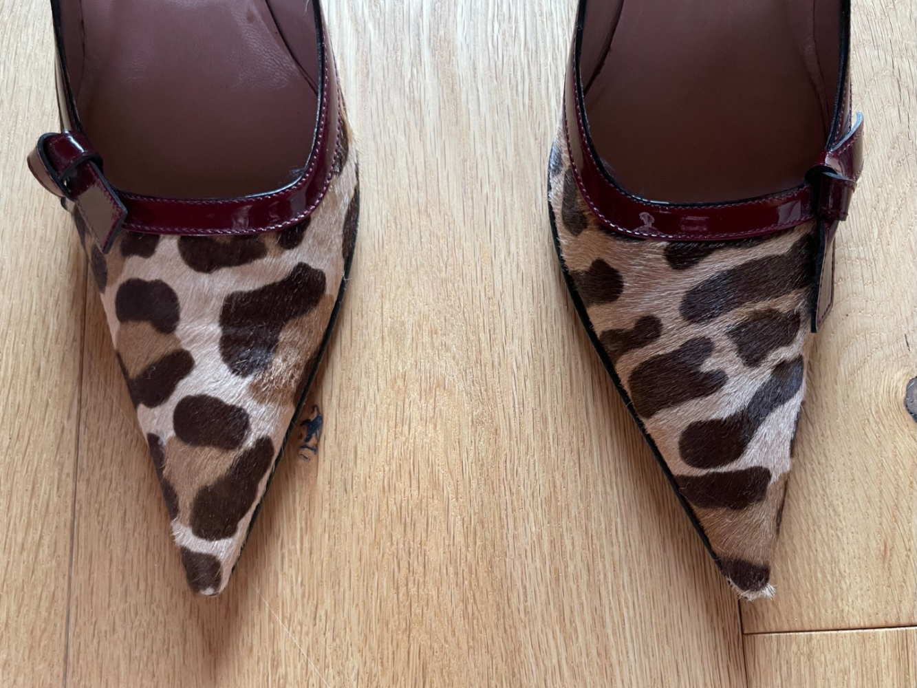 Cesare Paciotti Des talons léopard élégants !