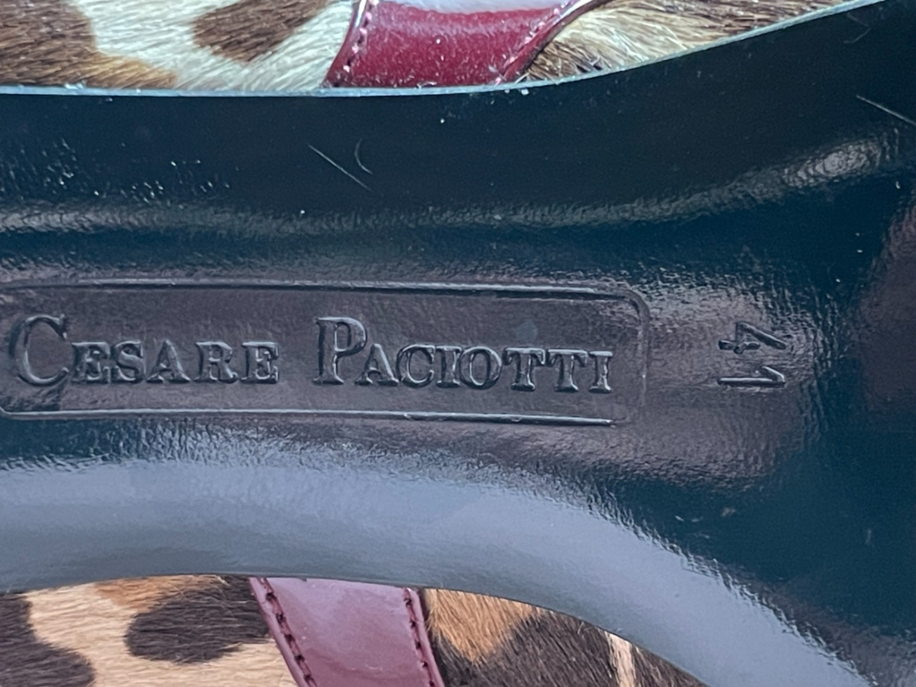 Cesare Paciotti Des talons léopard élégants !