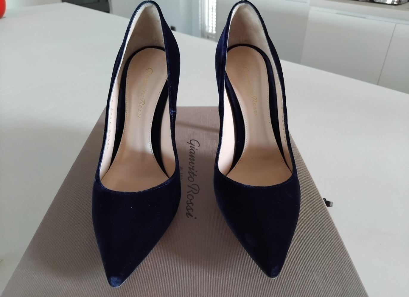 Gianvito Rossi Pumps aus Samt