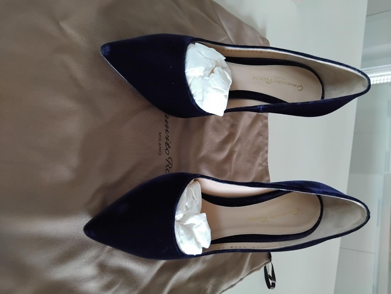 Gianvito Rossi Pumps aus Samt