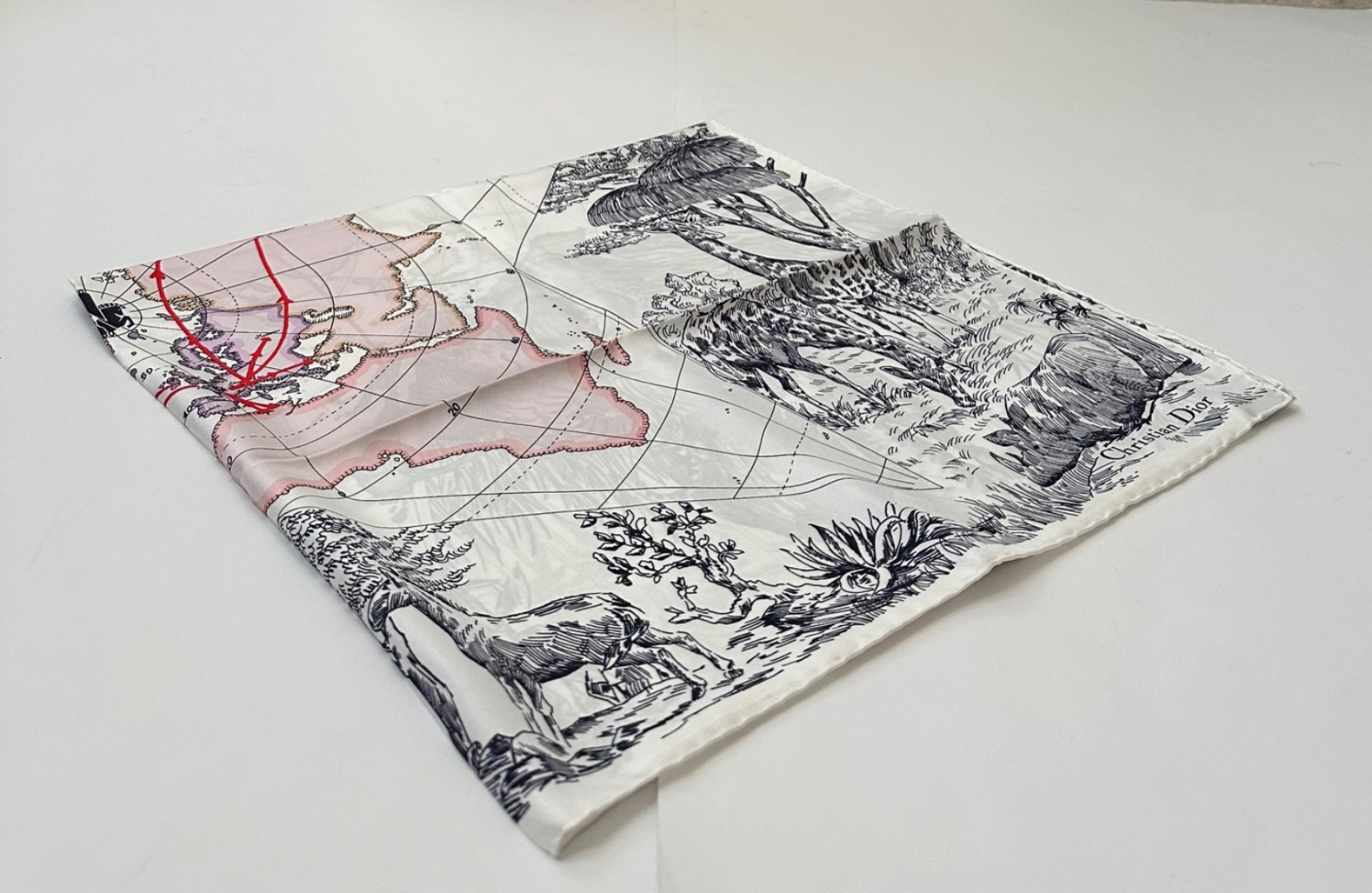 Christian Dior Foulard en soie