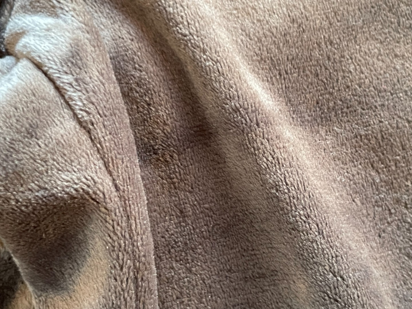 UGG Sold out everywhere: Glennon velour joggers, XS