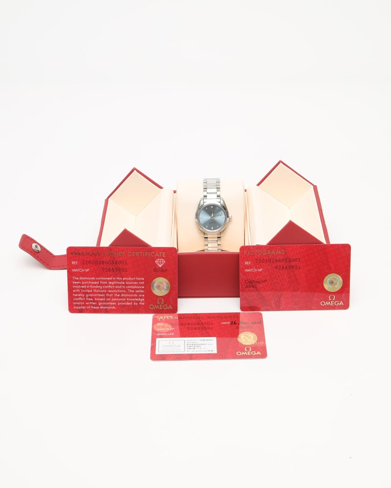 Omega Lady-seamaster Aqua Terra 29mm Ref 220.10.28.60.53.001 Watch