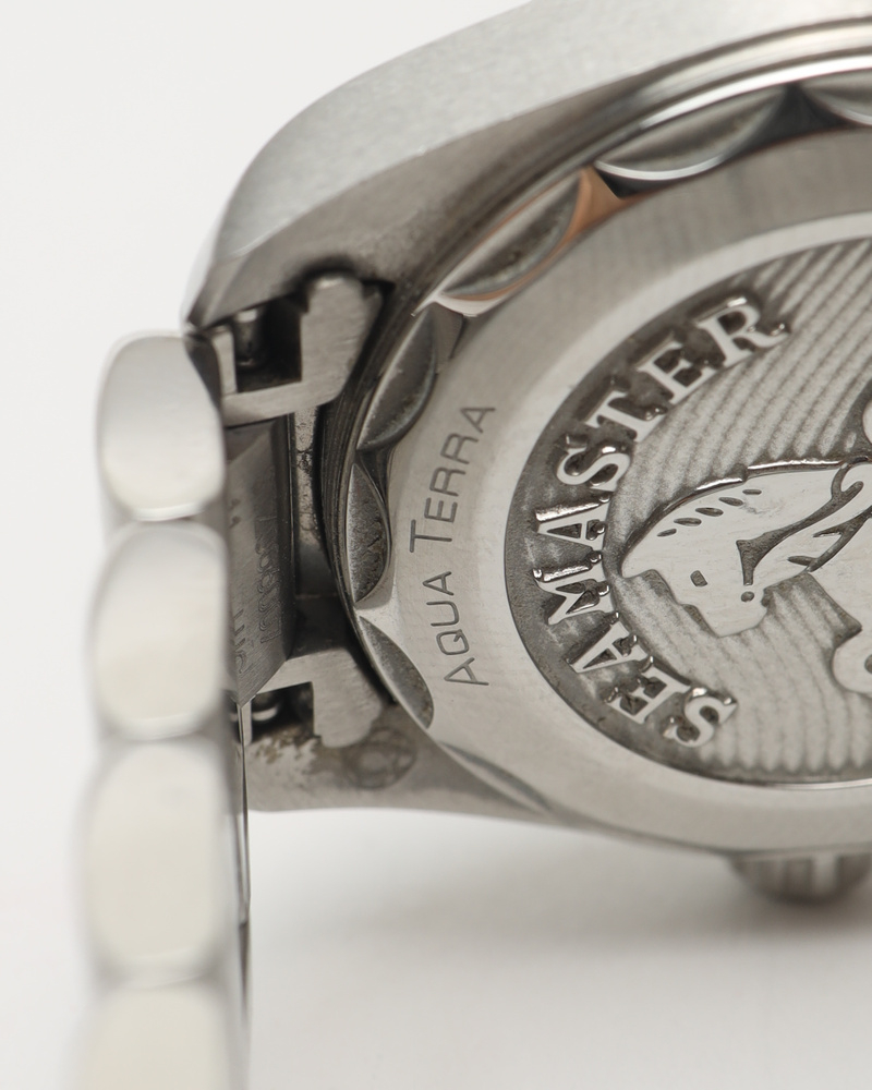 Omega Lady-seamaster Aqua Terra 29mm Ref 220.10.28.60.53.001 Watch