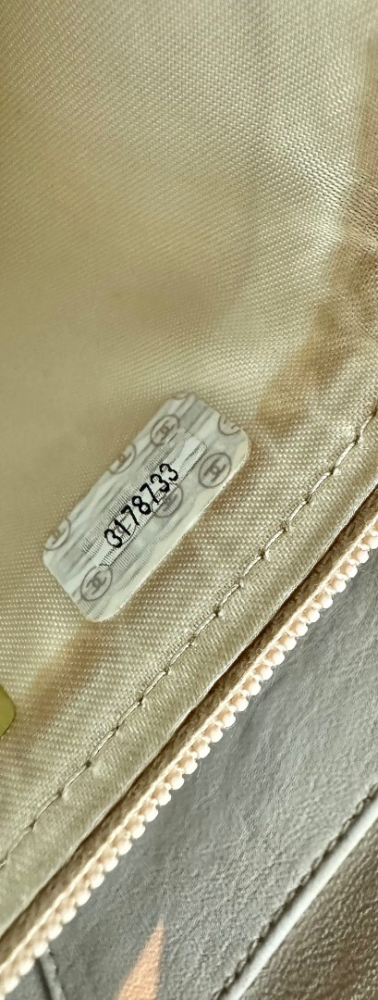 Chanel Rare Chanel Matelassé Camera Bag