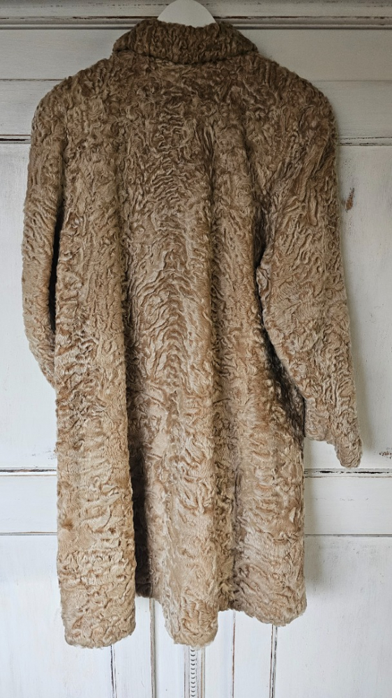 Baltzer Genève Astrachan