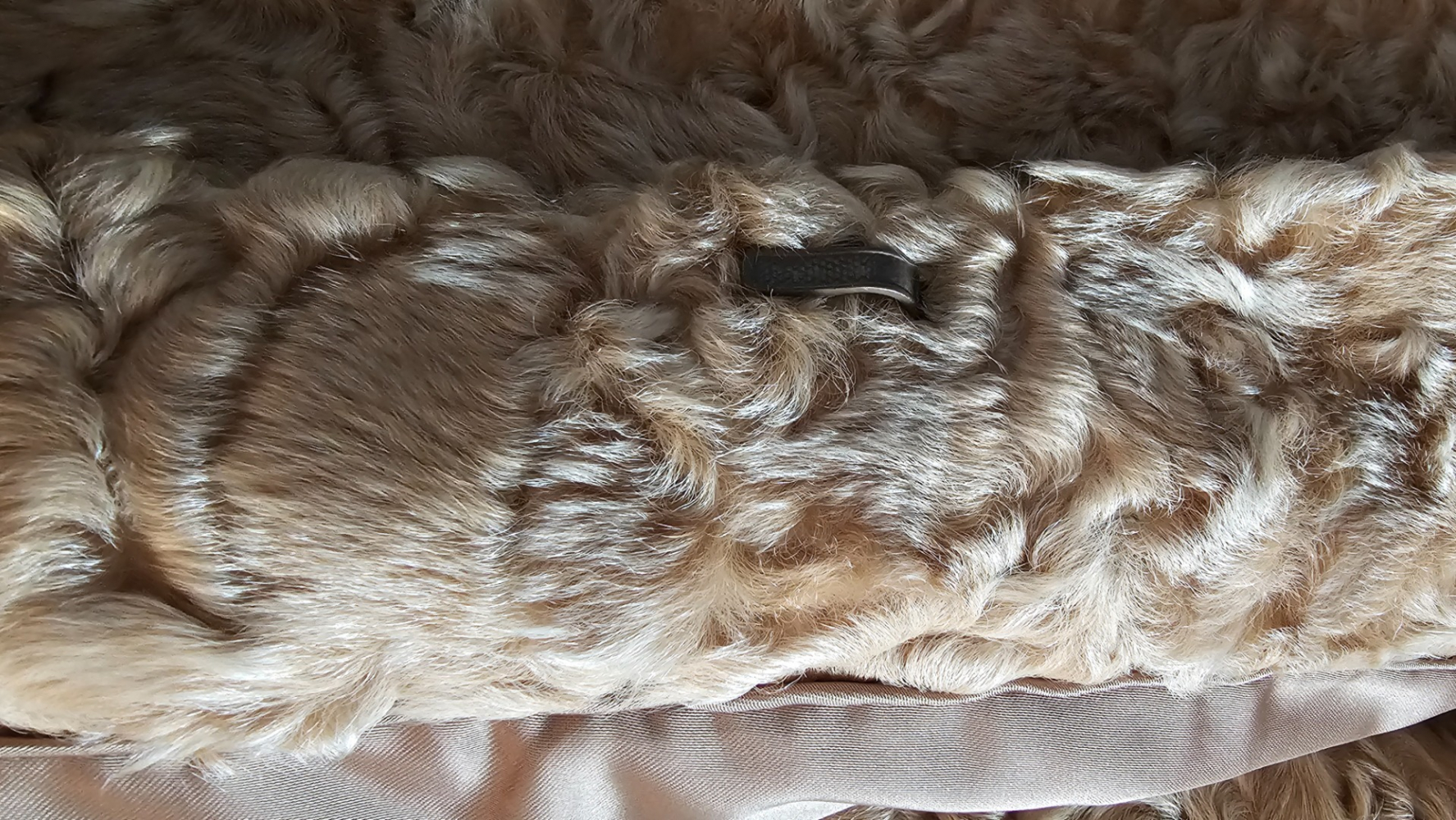 Baltzer Genève Astrachan