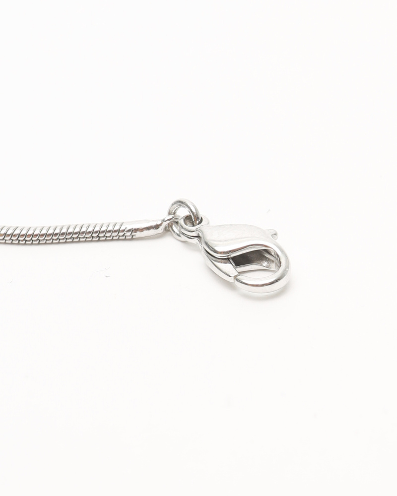 Christian Dior Logo Plate Necklace