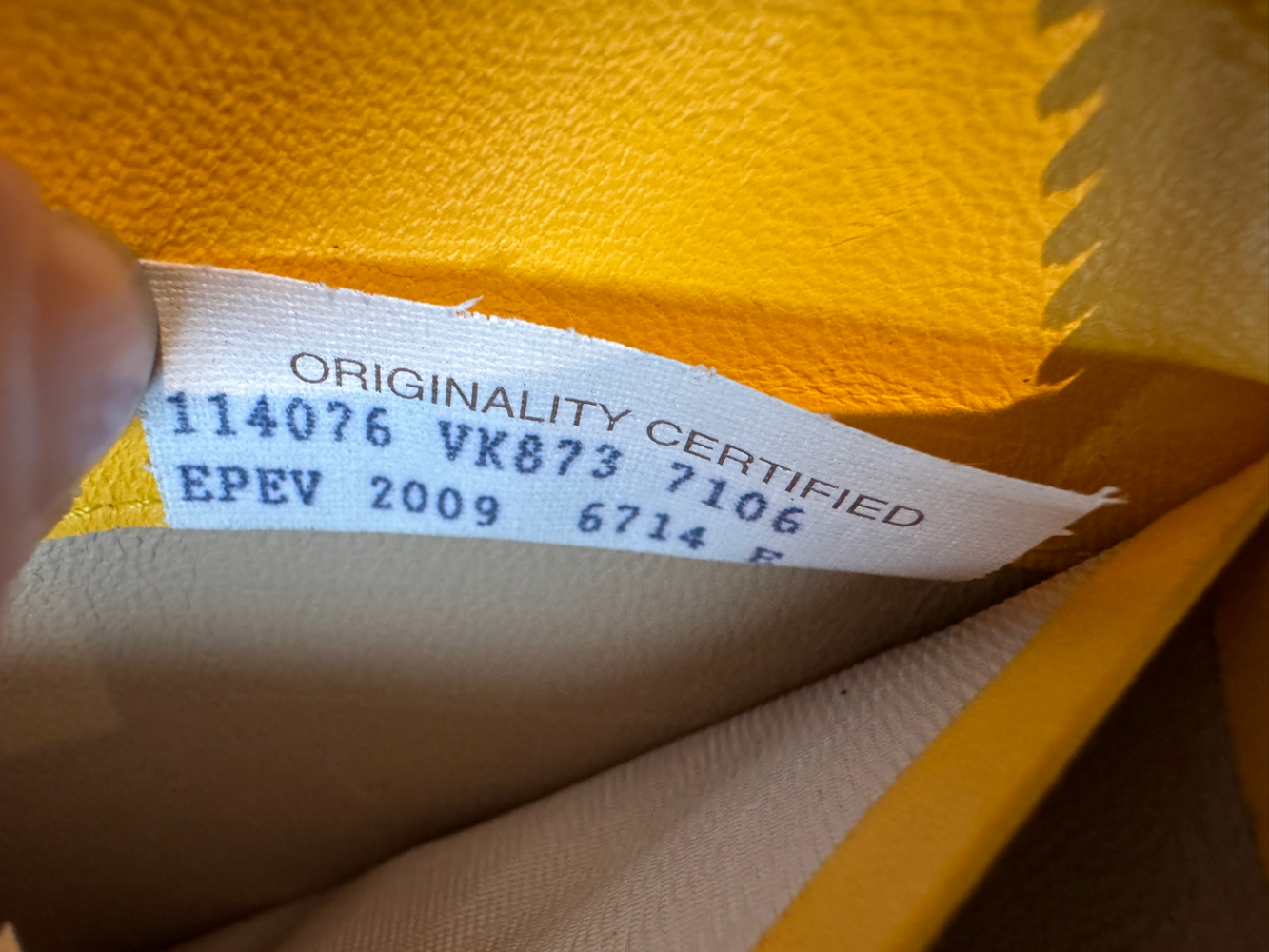 Bottega Veneta Portfolio