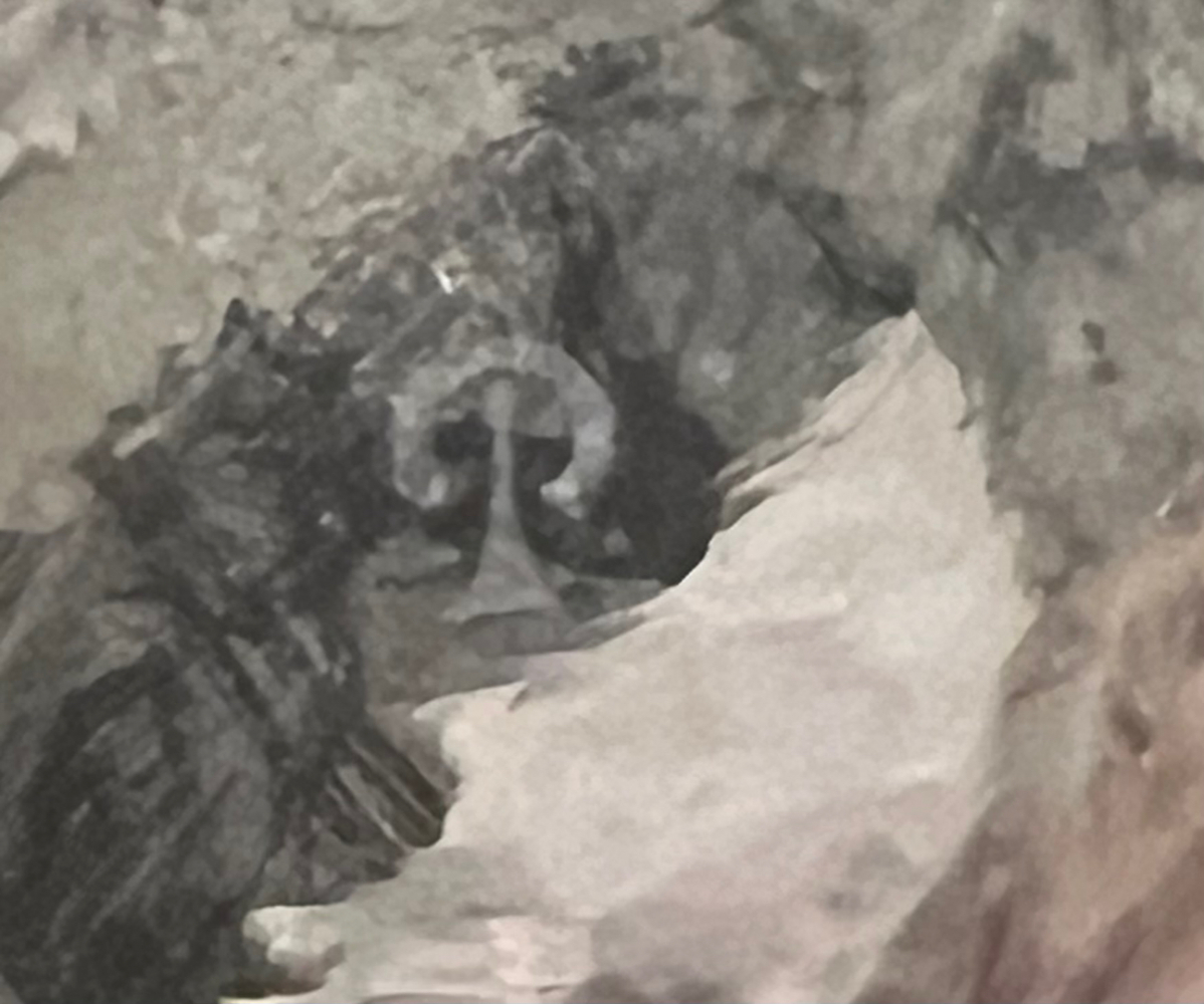 Peill & Putzler Vase