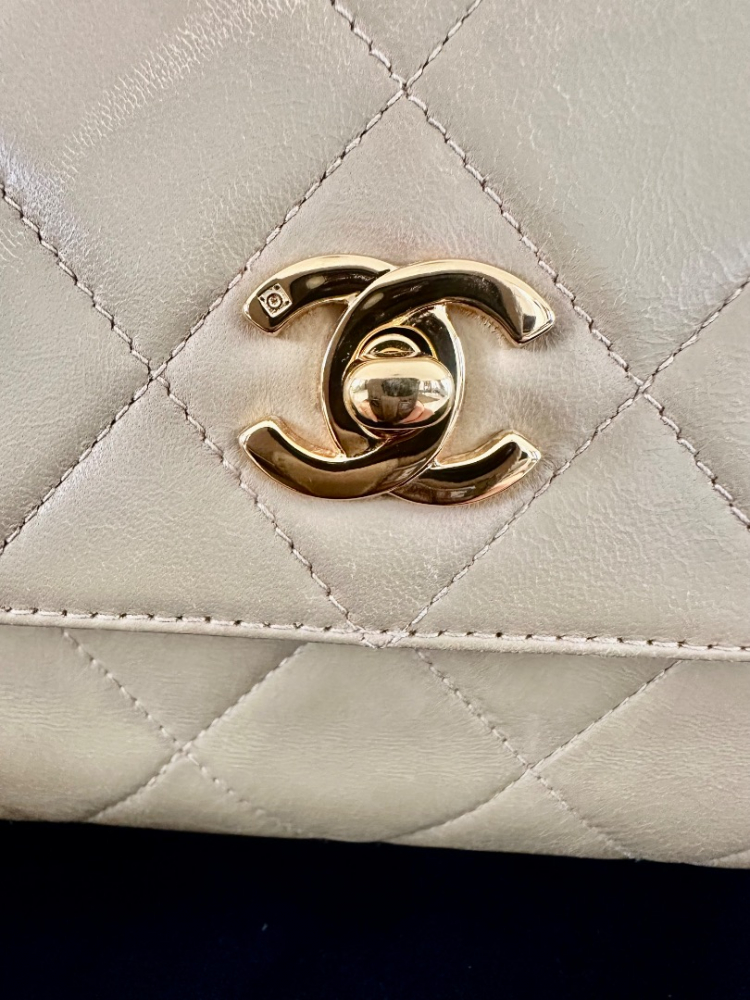 Chanel Rare Chanel Matelassé Camera Bag