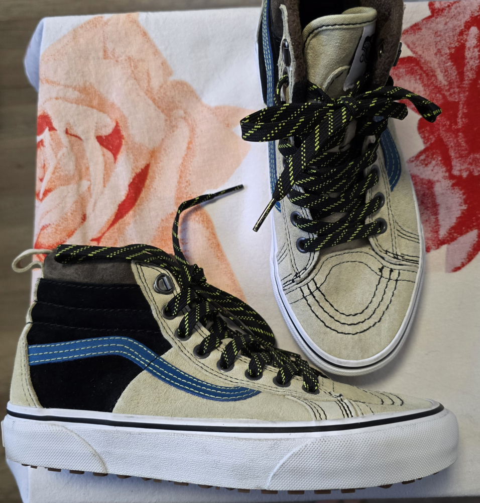 Vans sk8 high
