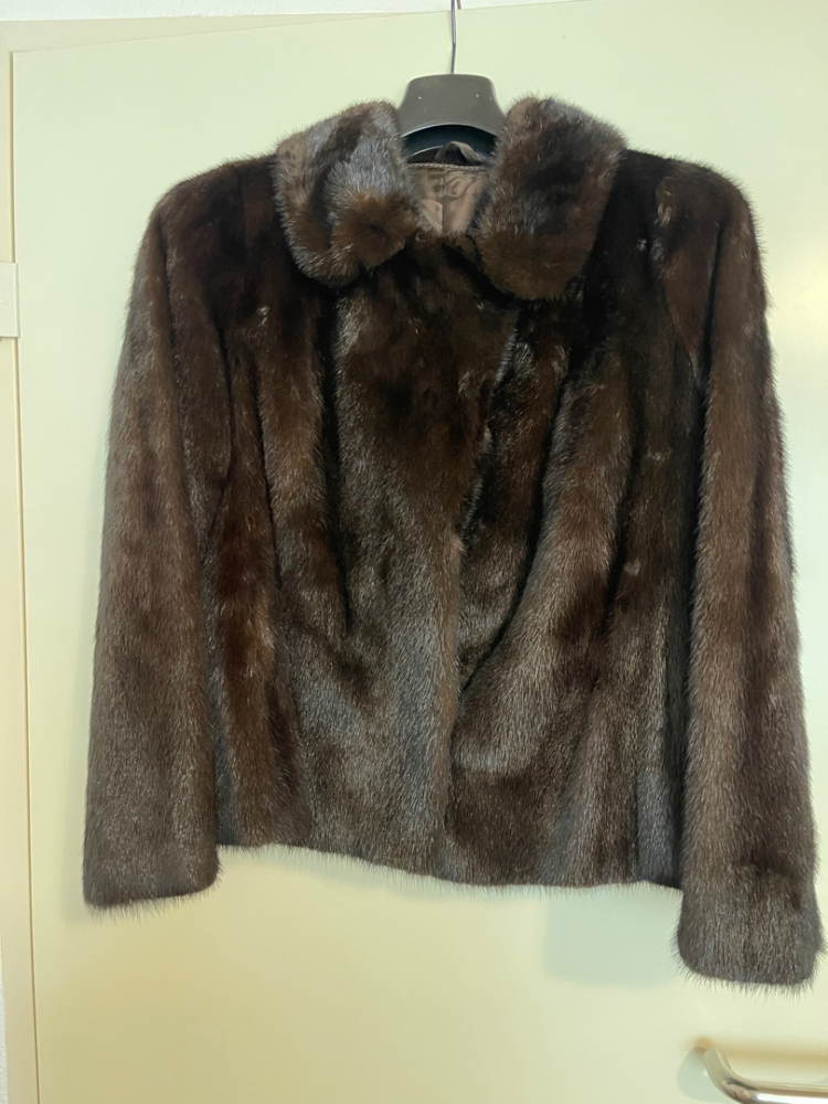 Saga Mink Model Schmidt Ettingen Switzerland