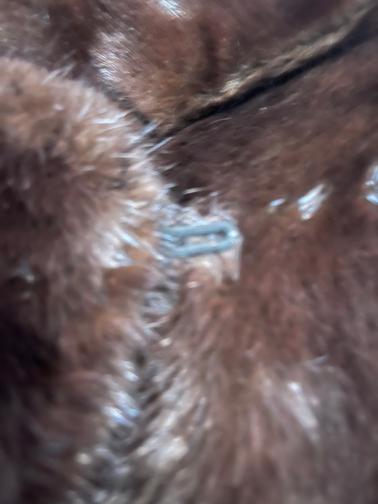 Saga Mink Model Schmidt Ettingen Switzerland