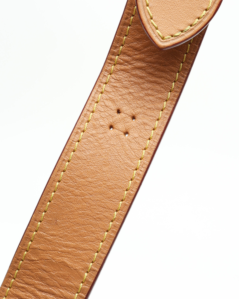 Louis Vuitton Monogram Odeon MM Crossbody Bag