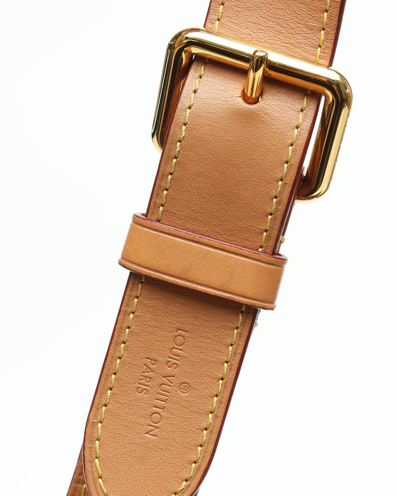 Louis Vuitton Monogram Odeon MM Crossbody Bag