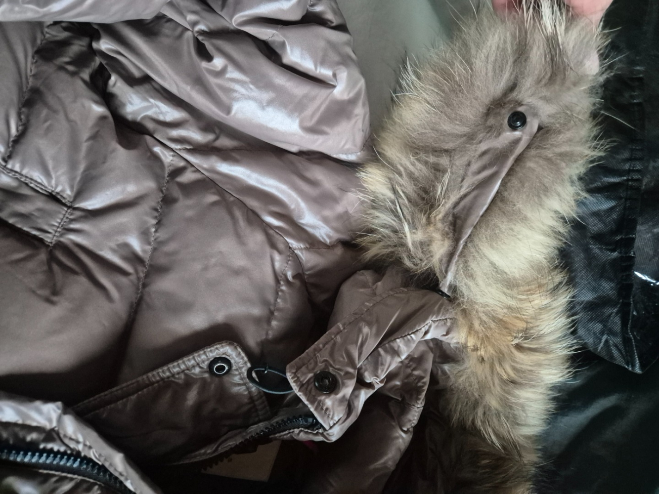 Moncler Alpine Giubbotto